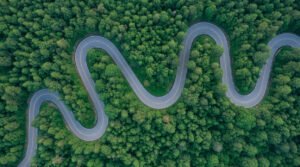 Read more about the article A Strategic Guide to Carbon Credit Procurement