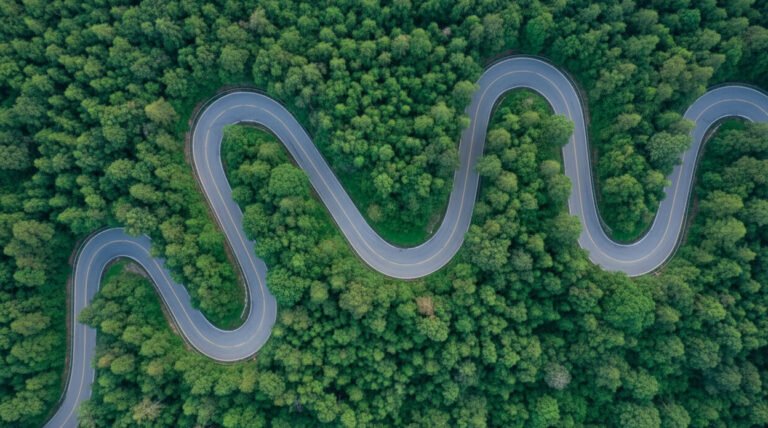 A Strategic Guide to Carbon Credit Procurement